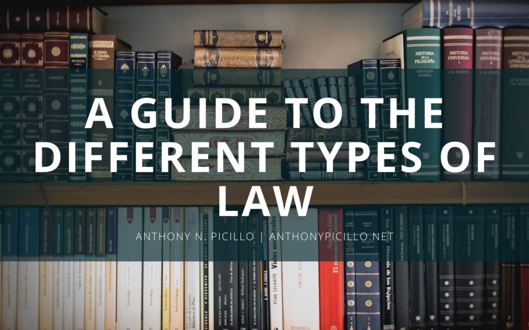 A Guide To The Different Types Of Law Anthony N Picillo Law